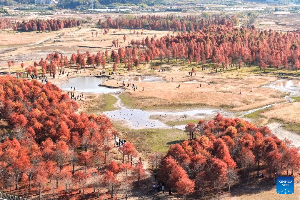 Ảnh chụp từ máy bay không người lái này vào ngày 14/12/2025 cho thấy phong cảnh mùa đông tại một địa điểm ở Taizhou, tỉnh Chiết Giang, miền đông Trung Quốc.