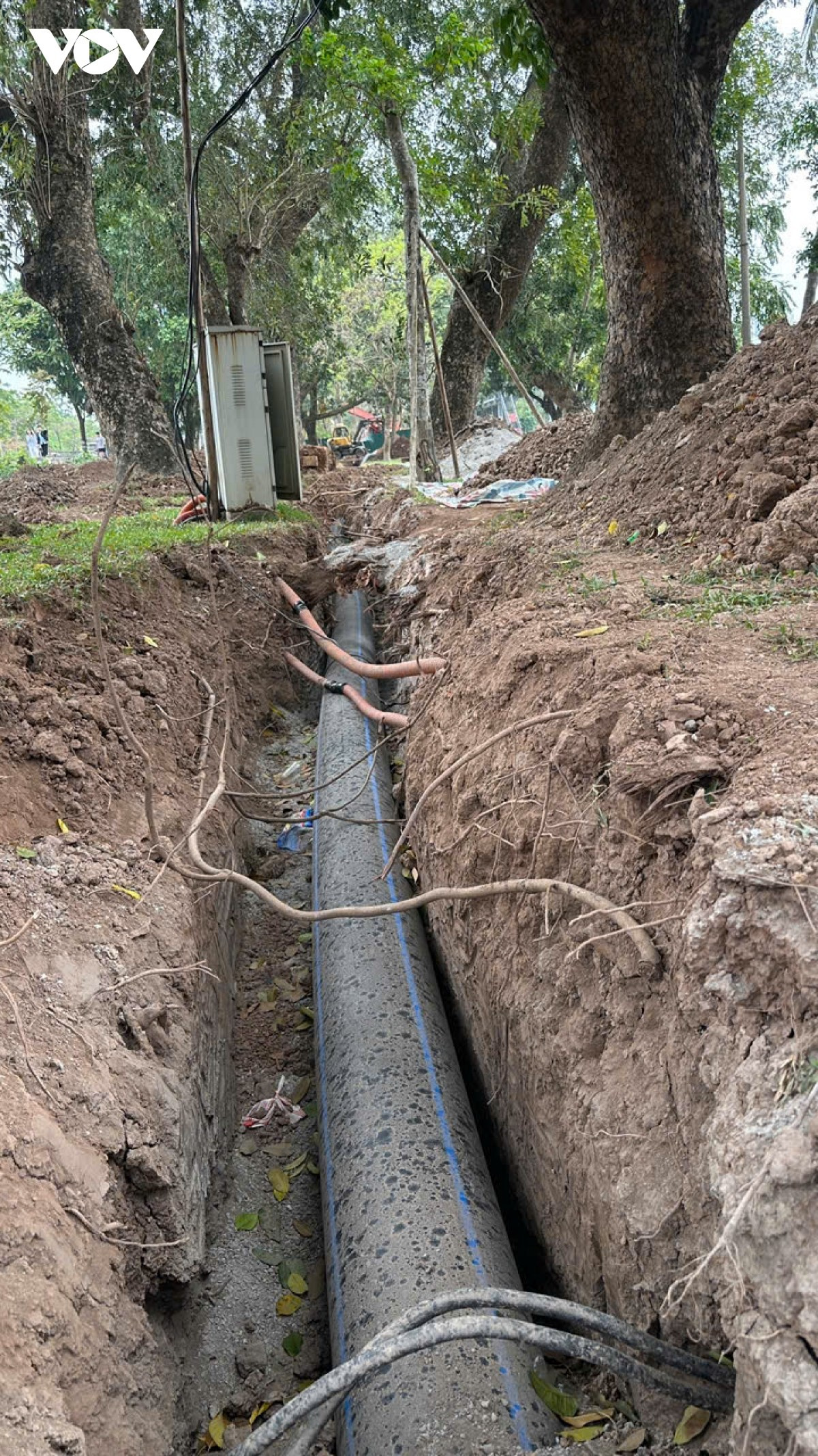 Việc đào đất đặt đường ống yêu cầu đảm bảo không làm ảnh hưởng đến rễ cây.