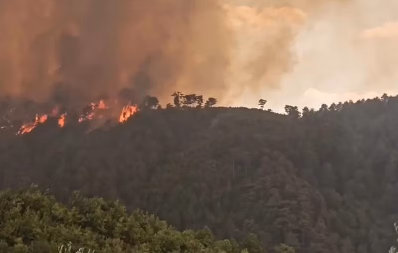 Lực lượng cứu hỏa cũng phải chiến đấu với các đám cháy ở Albania, Montenegro và Croatia. Theo Bộ Quốc phòng Albania, hàng trăm lính cứu hỏa và binh lính đã dập tắt gần hết 40 đám cháy bùng phát trong 24 giờ. Tuy nhiên, vẫn còn hơn 10 đám cháy khác. Ảnh: ADN.