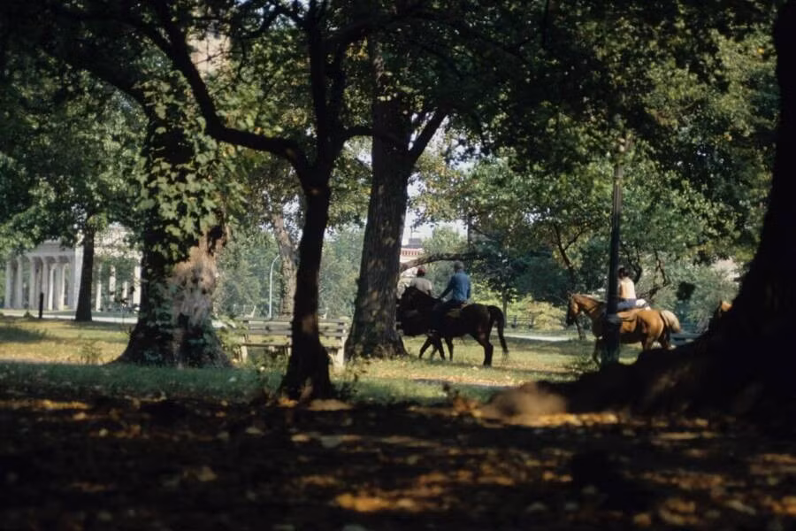 Một nhóm người cưỡi ngựa qua công viên. Ảnh: Facebook.