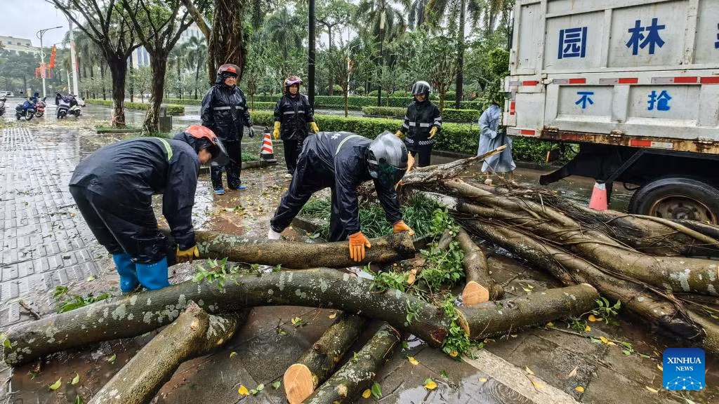 Nhân viên vệ sinh dọn dẹp cây đổ tại thành phố Khâm Châu ngày 6/10.