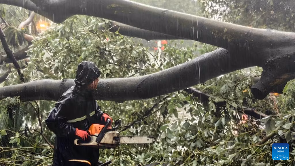 Nhiều thành phố tại Khu tự trị dân tộc Choang Quảng Tây đã dỡ bỏ lệnh kiểm soát giao thông tạm thời và dịch vụ đường sắt đang dần được khôi phục.