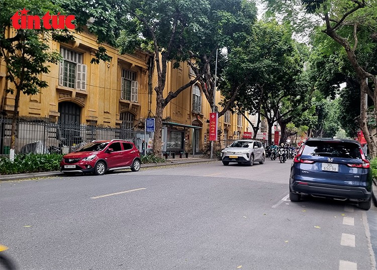 Nhiều ô tô xếp hàng dài tại khu vực điểm dừng xe buýt trên phố Lê Thánh Tông, chiếm dụng phần đường dành cho xe buýt đón trả khách.