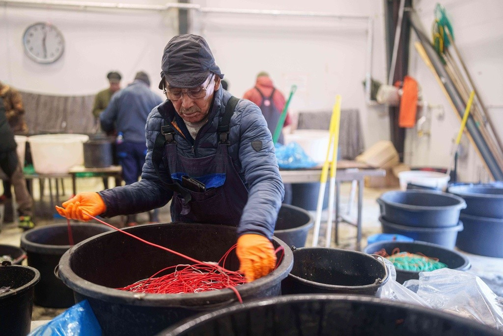 Một ngư dân chuẩn bị dây câu tại cảng Nuuk, Greenland, ngày 14/1.