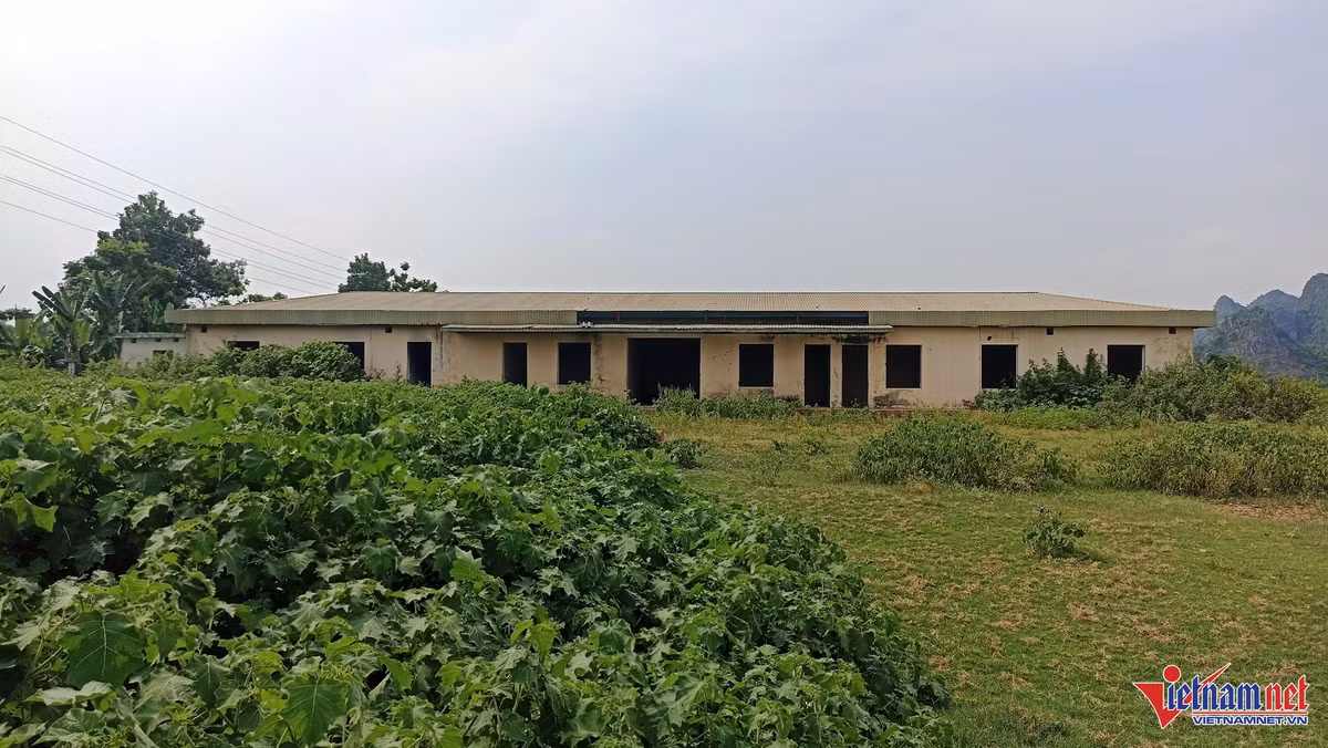 Theo người dân địa phương, khu vực xây dựng nhà máy xi măng trước đây là đất nông nghiệp của người dân 3 thôn bị thu hồi với khoảng 200 hộ dân bị ảnh hưởng. Sau khi nhường đất, con em của các hộ được công ty hỗ trợ đi học nghề xi măng, bảo vệ với lời hứa về làm việc trong nhà máy. Nhưng người dân địa phương đi từ kỳ vọng đến vô cùng thất vọng về dự án.