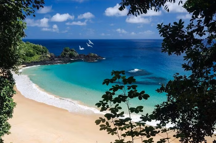 Bãi biển Sancho ở Brazil cũng là một trong những bãi biển đẹp nhất hành tinh.