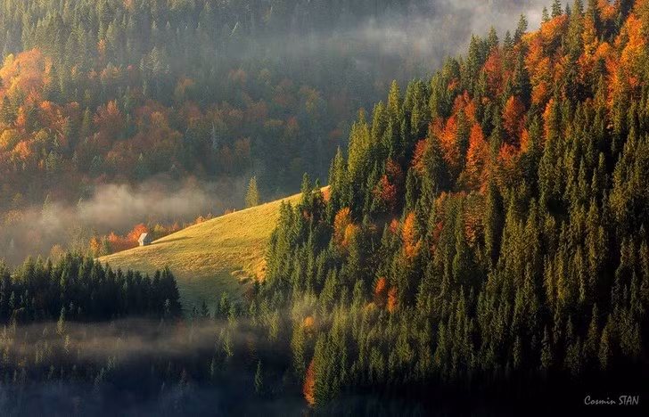 Dãy núi phía tây Romania.