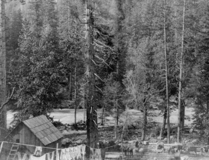 Túp lều của thợ mỏ nằm gần sông American năm 1866. Ảnh: Thư viện Quốc hội.