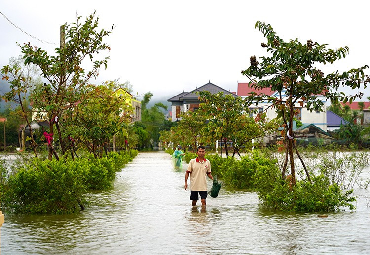 Một con đường tại thôn Tiền Phong, xã Bắc Trạch, tỉnh Quảng Trị bị ngập sâu trong nước. Ảnh: Thanh Thuỷ - TTXVN