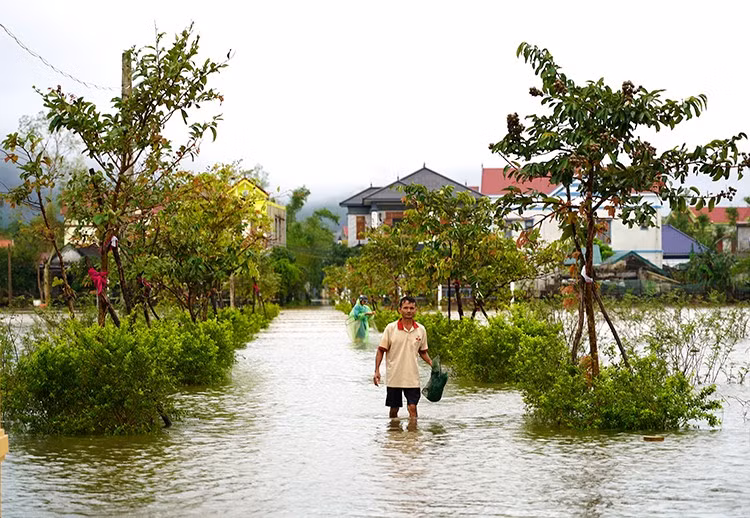 Một con đường tại thôn Tiền Phong, xã Bắc Trạch, tỉnh Quảng Trị bị ngập sâu trong nước. Ảnh: Thanh Thuỷ - TTXVN