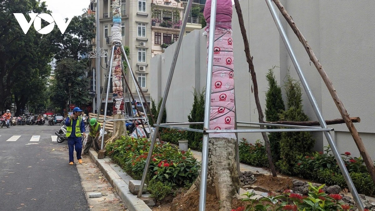 Trên các tuyến phố Lê Duẩn, Yết Kiêu, hàng chục cây xanh được trồng mới, thay thế những cây đã già cỗi, không còn bảo đảm an toàn. Không khí nơi đây nhộn nhịp như một “công trường” thu nhỏ, khi từng nhóm công nhân đang khẩn trương chỉnh trang, hoàn thiện những hạng mục cuối cùng để kịp chào mừng ngày Đại lễ.