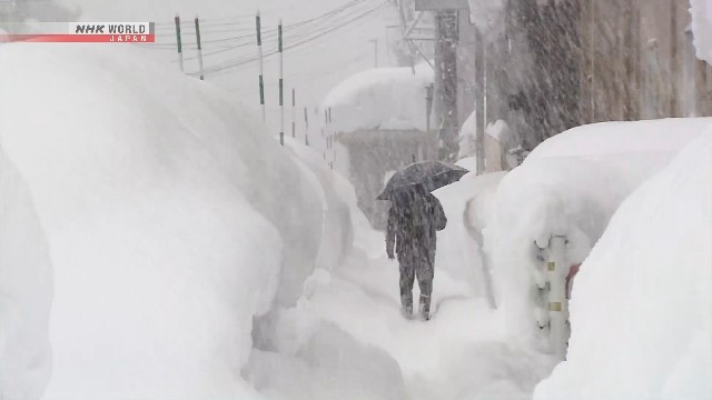 The Japan Times đưa tin, Cơ quan Phòng cháy chữa cháy và Quản lý thiên tai Nhật Bản ngày 3/2 cho biết tuyết rơi dày đã khiến ít nhất 30 người thiệt mạng và 324 người khác bị thương trong hai tuần qua tại nước này. Ảnh: NHK.