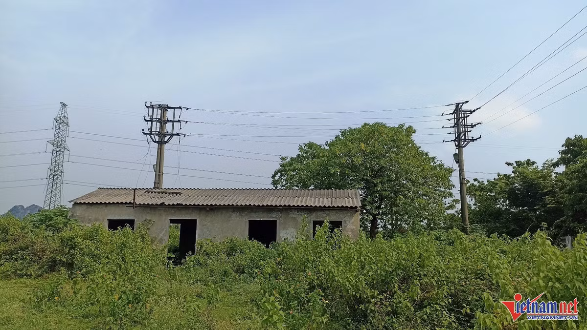 Sau đó, Công ty Cổ phần xi măng Phú Sơn đã có văn bản gửi UBND tỉnh Ninh Bình, các sở, ban, ngành nêu lý do khó khăn về mặt tài chính dẫn đến sự đình trệ trong việc triển khai hoạt động xây dựng nhà máy trong thời gian dài. Công ty cũng cam kết sẽ khởi động việc xây dựng nhà máy kể từ ngày 20/11/2017 nhưng đến nay, sau 8 năm, dự án vẫn "án binh bất động".