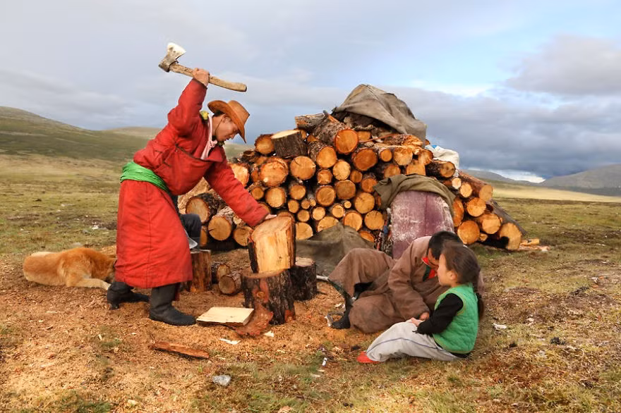 Người Tsaatan bổ củi.