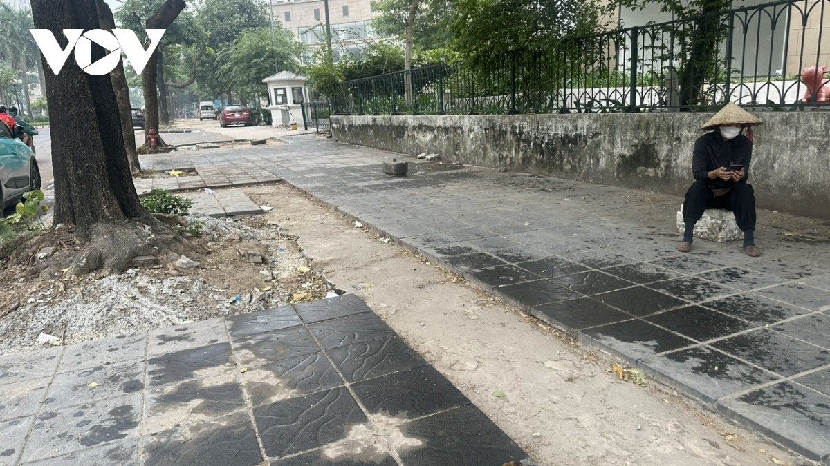 Gạch vỡ, xi măng và đất đá bị đổ vào hố cây, khiến cây bị “ngạt” và khó tiếp tục sinh trưởng.