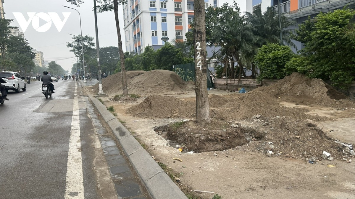 Cây xanh đô thị cần được bảo vệ, đặc biệt không được làm tổn thương bộ rễ ảnh hưởng đến sự sinh tồn của cây. Trên thực tế, những quy chuẩn đó bị bỏ qua trong quá trình cải tạo vỉa hè.