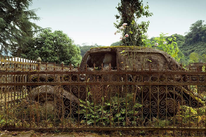 Bức ảnh này được nhiếp ảnh gia Dimitri Bourriau chụp tại một nghĩa trang.