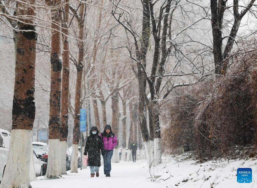 Người dân đi bộ dưới trời mưa tuyết ở Thẩm Dương, tỉnh Liêu Ninh, ngày 23/12.