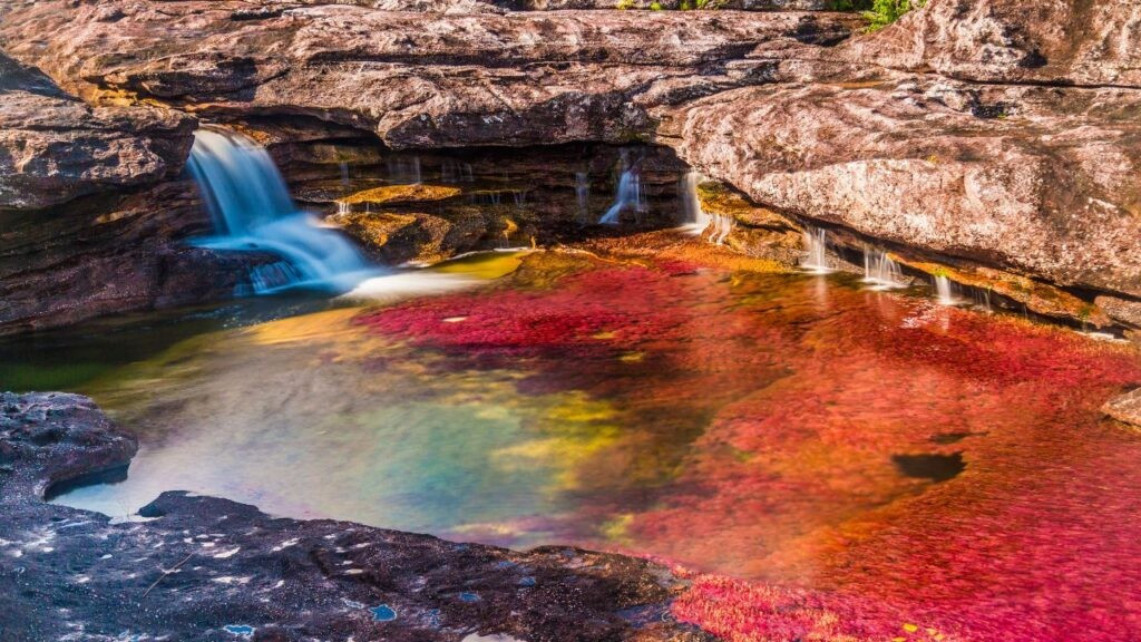 Caño Cristales, còn được gọi là Sông Ngũ Sắc, là một kỳ quan thiên nhiên ở Colombia. Dòng sông này đổi màu từ đỏ sang vàng, rồi xanh lá cây,...tạo nên cảnh sắc vô cùng ấn tượng.