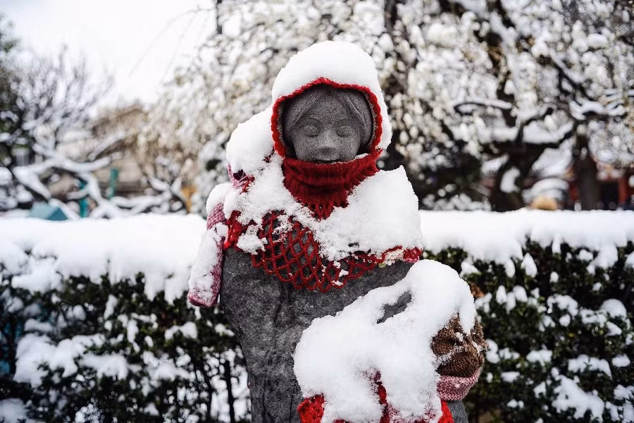Nhiều dịch vụ đường sắt trên toàn quốc tạm ngừng hoạt động hoặc bị chậm chuyến do tuyết rơi. Tại khu vực Kanto, tính đến 17 giờ chiều 8/2, các tuyến Ito, Kashima, Narita và Sobu tạm ngừng hoàn toàn. Tuyến Hokuriku Shinkansen cũng bị chậm chuyến. Ảnh: Một bức tượng phủ đầy tuyết gần chùa Sensoji ở Asakusa, Tokyo. Ảnh: Japan Times.