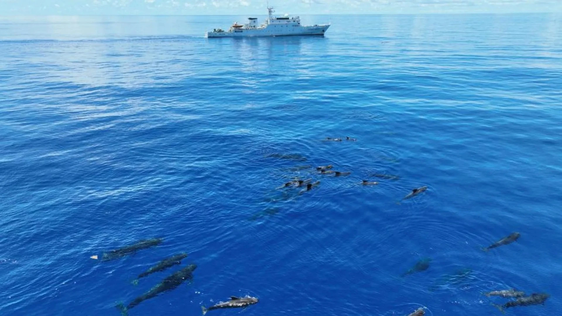 Trung Quốc chơi lớn, khoe "mắt thần" dự báo thảm họa... thế giới chưa ai làm