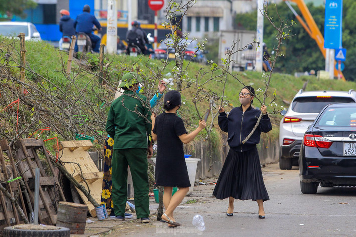 Người dân Thủ đô thích thú khi sở hữu những cành hoa lê trắng này.