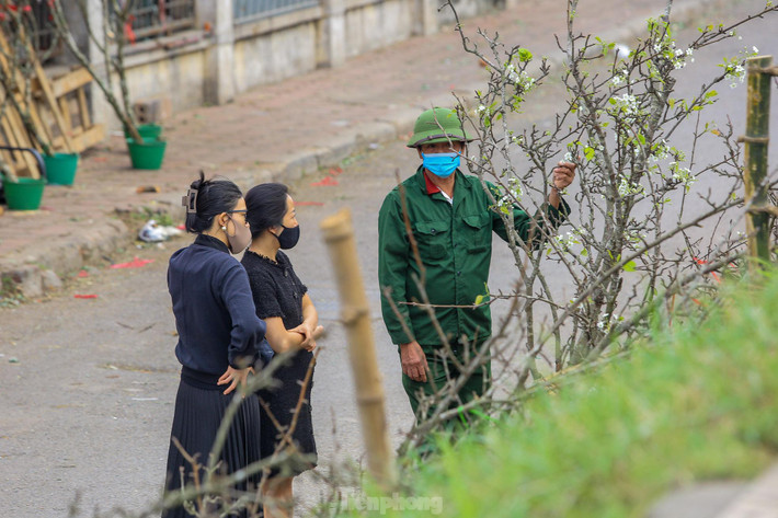 Mặc dù xuống phố sớm hơn 2 tháng nhưng loài hoa này vẫn được người dân Thủ đô săn lùng.
