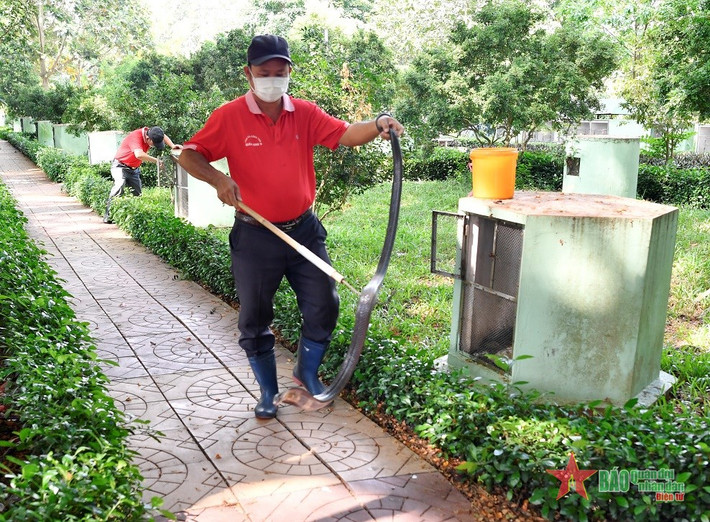Cũng được xem là loài cực độc, nhưng rắn hổ mang đất có thể nhốt chung chuồng; thức ăn thường là chuột, ếch, đặc biệt là cóc.
