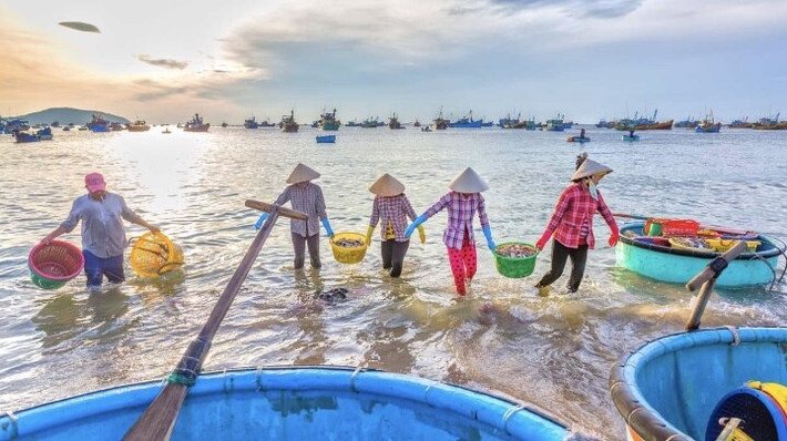 4. Mũi Né - Bình Thuận: Mũi Né thu hút được rất nhiều du khách bởi dòng nước biển màu xanh ngọc cùng bãi cát trắng ngần, dưới ánh nắng vàng đầy thơ mộng. Không những thế, khách còn được trải nghiệm, khám phá những con suối róc rách được bao bọc xung quanh bởi những tảng đá vôi khổng lồ và những ngôi làng đánh cá hoang sơ với vẻ đẹp độc đáo như tranh vẽ. Bên cạnh đó, việc ngắm hoàng hôn cực kì lãng mạn tại Mũi Né cũng vô cùng thú vị.