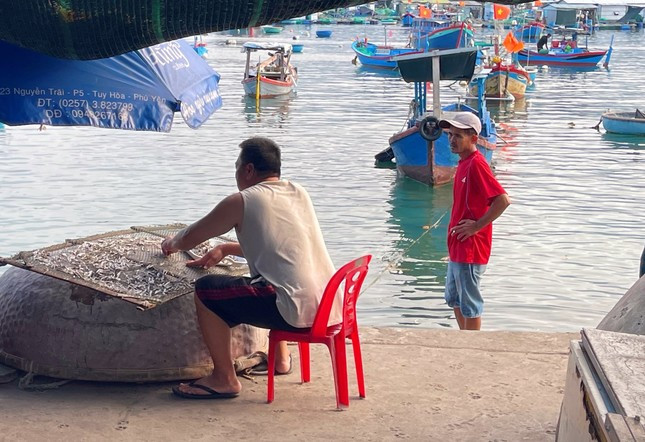 Dọc theo đường bờ biển quanh đảo, người dân địa phương bắt đầu một ngày làm việc bằng cách phơi những con cá tươi ngon vừa được đánh bắt từ sáng sớm.