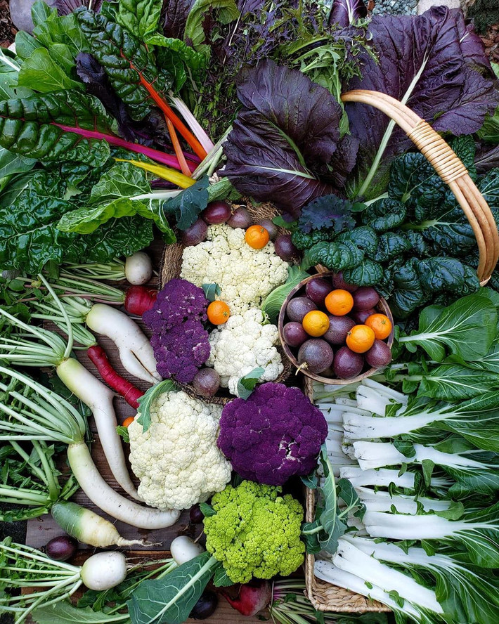 Chị Deana cảm thấy may mắn khi được sở hữu khu vườn, giống như cách thiên nhiên tạo những thuận lợi để chị chăm sóc sức khỏe