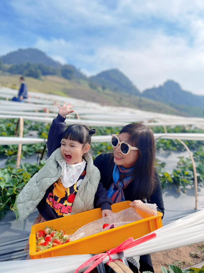 Đến Mộc Châu, bạn có thể chiêm ngưỡng những đồi chè xanh tít tắp, vi vu trong rừng thông và thưởng thức dâu tây tươi ngon tại Mokkchau Ichigo Farm, Sò Lườn, Mộc Châu. Không khí ở đây quanh năm mát mẻ, đẹp và thơ mộng không kém gì Sa Pa. mỗi góc nhỏ đều là có thể giúp cho các tín đồ "sống ảo" chụp những bức ảnh tuyệt đẹp.