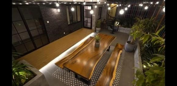 Độ Mixi đem vào không gian làm việc khá nhiều cây xanh, rải thêm sỏi trắng để che đất. Anh chọn các cây phù hợp sống trong nhà, ít cần chăm sóc.