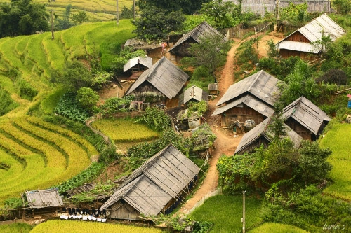 Nghĩ là HQuyên đi chơi loanh quanh trong xóm nên mọi người không quan tâm, mãi đến 18h vẫn không thấy con về ăn tối như mọi ngày, vợ chồng anh Y Siêng sốt ruột cùng hàng xóm đi tìm nhưng suốt đêm vẫn không thấy cháu bé.