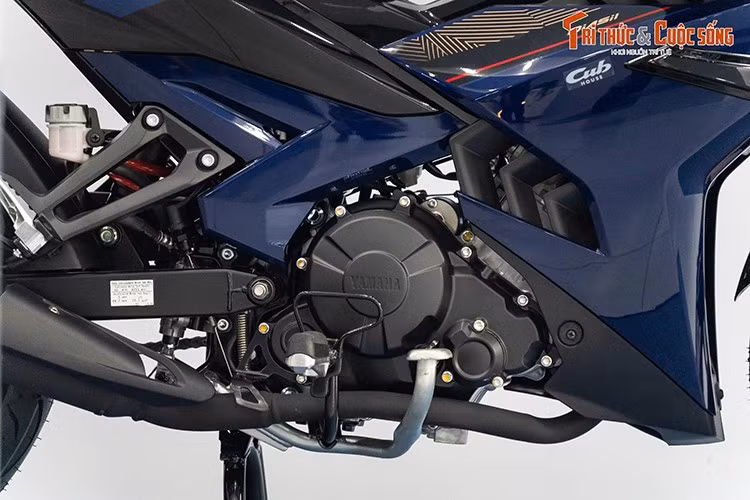 Mức giá xe Yamaha Y15ZR 2025 tại Malaysia được bán với giá 8.000-9.000 RM (tương đương 1.890-2.135 USD hoặc xấp xỉ 50-55 triệu đồng). Đơn vị nhập khẩu chưa công bố giá bán cho Yamaha Y15ZR SE, tuy nhiên cho biết chỉ có 25 chiếc thuộc phiên bản giới hạn này có mặt tại Việt Nam.