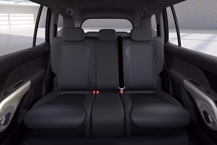 VinFast có cung cấp bộ sạc di động chính hãng 3,5kW và bộ sạc tại nhà 7,4kW cho khách mua Limo Green, nhưng hãng chưa xác nhận phụ kiện này sẽ được tặng kèm hay bán rời. Hệ dẫn động của Limo Green là cầu trước, với 3 chế độ lái gồm Eco (tiết kiệm), Comfort (thoải mái) và Sport (thể thao).