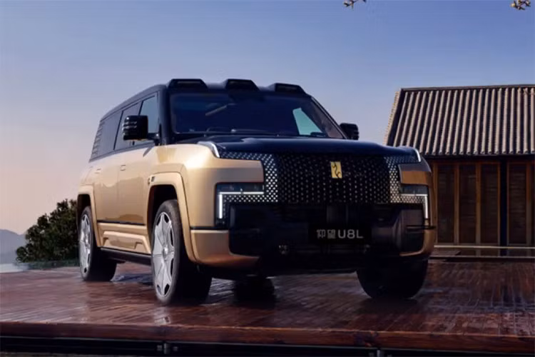 Được định vị là mẫu xe hạng sang hàng đầu trong dòng sản phẩm YangWang, U8L là một lựa chọn thay thế cho Bentley Bentayga và Rolls-Royce Cullinan dành cho những khách hàng Trung Quốc ưa chuộng xe nội địa. Mặc dù có thể gặp khó khăn trong việc cạnh tranh về chất lượng hoặc uy tín, nhưng U8L sở hữu công nghệ mà không đối thủ châu Âu nào có thể sánh kịp.