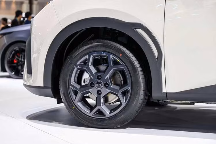 Cung cấp năng lượng cho mô-tơ điện là pin lithium-sắt-photphat (LFP) mang tên Blade của BYD với dung lượng 30,08 kWh, cho phạm vi hoạt động 300 km theo tiêu chuẩn NEDC hoặc khoảng 240 km theo chu trình WLTP. Phiên bản Dynamic hỗ trợ sạc chậm AC tối đa 6,6 kW và sạc nhanh DC tối đa 30 kW.