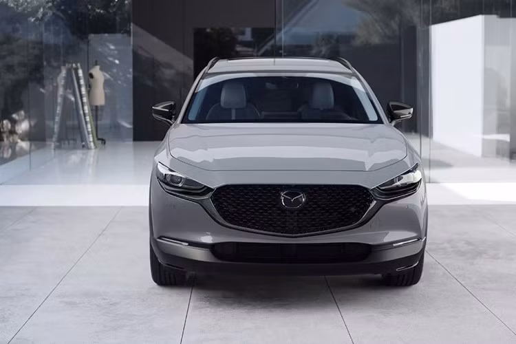 Hệ thống an toàn tiêu chuẩn của xe bao gồm kiểm soát hành trình thích ứng với tính năng dừng và đi, hỗ trợ phanh thông minh, đèn pha tự động và cảnh báo chệch làn đường với hỗ trợ giữ làn đường. Xe cũng được trang bị cảnh báo hành khách phía sau, cảnh báo ra khỏi xe và giám sát điểm mù...