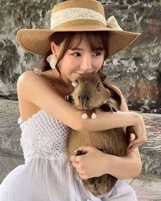 Trong loạt ảnh được Yuan Yuan đăng tải, nàng hot girl đội mũ rơm mang phong cách nhiệt đới, tóc xõa tự nhiên với phần mái uốn nhẹ ôm lấy gương mặt thanh tú. Đáng chú ý, cô nhẹ nhàng ôm một chú capybara ngoan ngoãn vào lòng khiến dân mạng đồng loạt “phát sốt”, đòi "đổi chỗ" với thú cưng ấy.