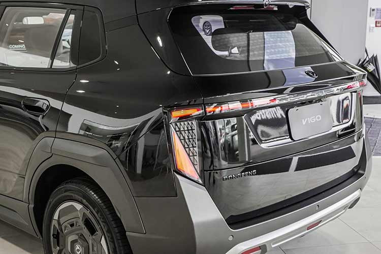 Tại thị trường Malaysia, Dongfeng Vigo chỉ có 1 phiên bản duy nhất, sử dụng mô-tơ điện đồng bộ nam châm vĩnh cửu đặt phía trước, cho công suất tối đa 161 mã lực và mô-men xoắn cực đại 230 Nm. Nhờ đó, xe có khả năng tăng tốc từ 0-100 km/h trong 9,5 giây.