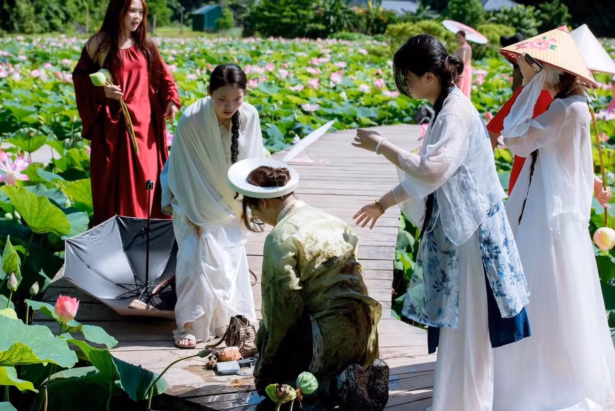Mới đây, trên MXH những bức ảnh một cô gái diện áo dài truyền thông vô tình ngã xuống hồ sen tại Hang Múa đã được netizen truyền tay nhau.