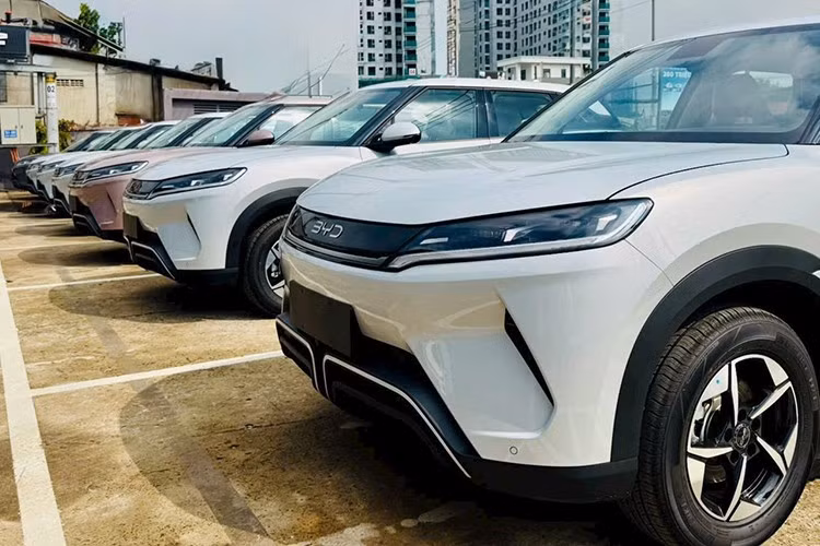 Hiện danh mục sản phẩm của BYD tại Việt Nam sẽ bao gồm tổng cộng 8 mẫu xe, bên cạnh Dolphin, Atto 3, Seal, Han, M6, Sealion 6 và Sealion 8.