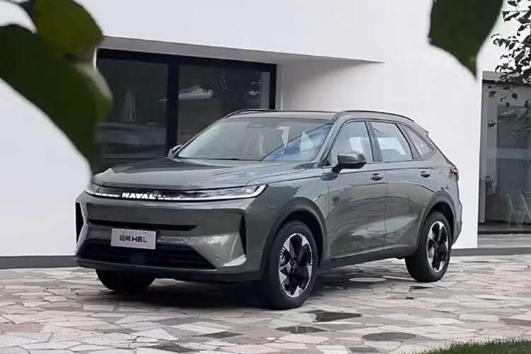 Dòng xe Haval H6 xuất hiện tại Việt Nam từ năm 2023, hiện nay đang được phân phối thông qua Công ty GWM Thành An Việt Nam, đi kèm mức giá hiện tại khoảng 790 triệu đồng.