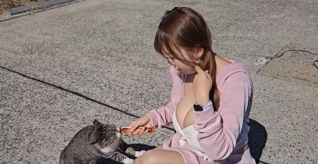 Trong video trải nghiệm Ainoshima mang tên “Bạn có muốn cùng tôi đi chơi ở đảo mèo không?”, Velvet xuất hiện với áo hoodie dáng ngắn màu hồng, váy ngắn xếp tầng đồng màu, bên trong là áo hai dây mảnh, kết hợp tóc buộc hai bên theo phong cách dễ thương.