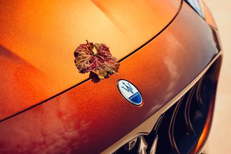 Maserati Grecale Tributo Il Bruciato thể hiện sự hợp tác giữa Nhà Trident và Marchesi Antinori – một trong những gia đình làm rượu vang Il Bruciato (tại Bolgheri) lâu đời và uy tín nhất thế giới. Từ màu thân xe trở đi, thiết kế lấy cảm hứng từ thiên nhiên và mùa thu hoạch nho.