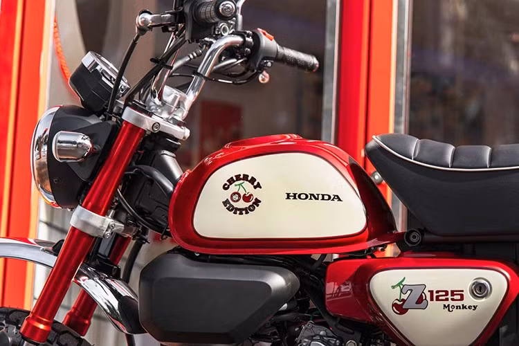 Xe có chiều dài cơ sở 1.145 mm, chiều cao yên xe 776 mm, khoảng sáng gầm 175 mm, trọng lượng 104 kg và dung tích bình xăng 5,6 lít. Hệ thống treo được trang bị phuộc hành trình ngược, trong khi phanh đĩa ở cả bánh trước và bánh sau đảm bảo an toàn khi vận hành.