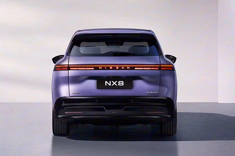 Theo hồ sơ đăng trên trang web của MIIT, Nissan NX8 sở hữu kích thước dài x rộng x cao lần lượt 4.870 x 1.920 x 1.680 mm và chiều dài cơ sở 2.917 mm. Trọng lượng không tải dao động từ 2.196-2.245 kg, tùy phiên bản trong khi trọng lượng toàn tải đạt 2.660 kg. Như vậy, mẫu xe này được định vị trong phân khúc SUV hạng D, cạnh tranh với những đối thủ như Hyundai Santa Fe.