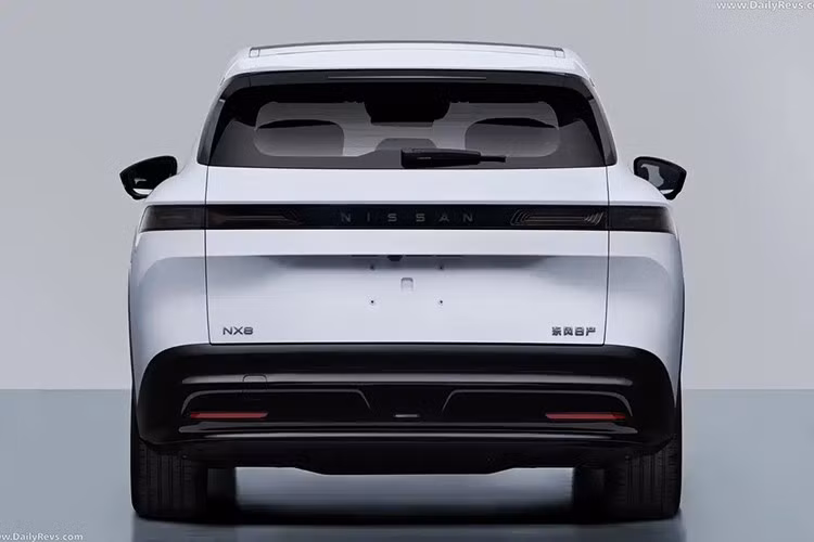 Từ đầu năm 2025, liên doanh Dongfeng Nissan đã giới thiệu 2 mẫu xe năng lượng mới tại thị trường Trung Quốc là N7 và N6. Cả hai đều là xe sedan, được phát triển trên nền tảng khung gầm của Dongfeng. Bên cạnh đó, hai mẫu xe này còn sử dụng công nghệ của Dongfeng, bao gồm kiến trúc xe, hệ thống điện hóa và phần mềm thông minh.