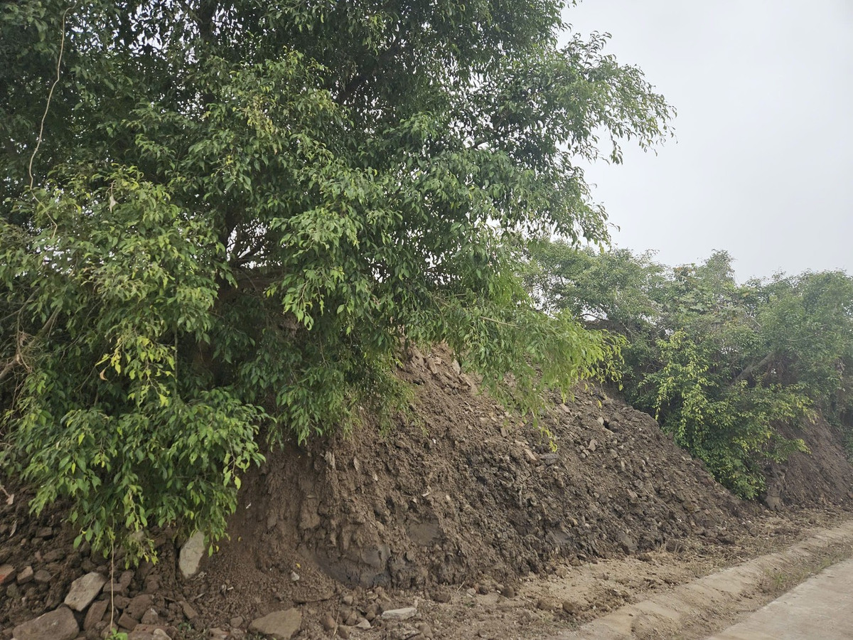 Rác thải tập kết luôn trên vỉa hè. Ảnh: N.B